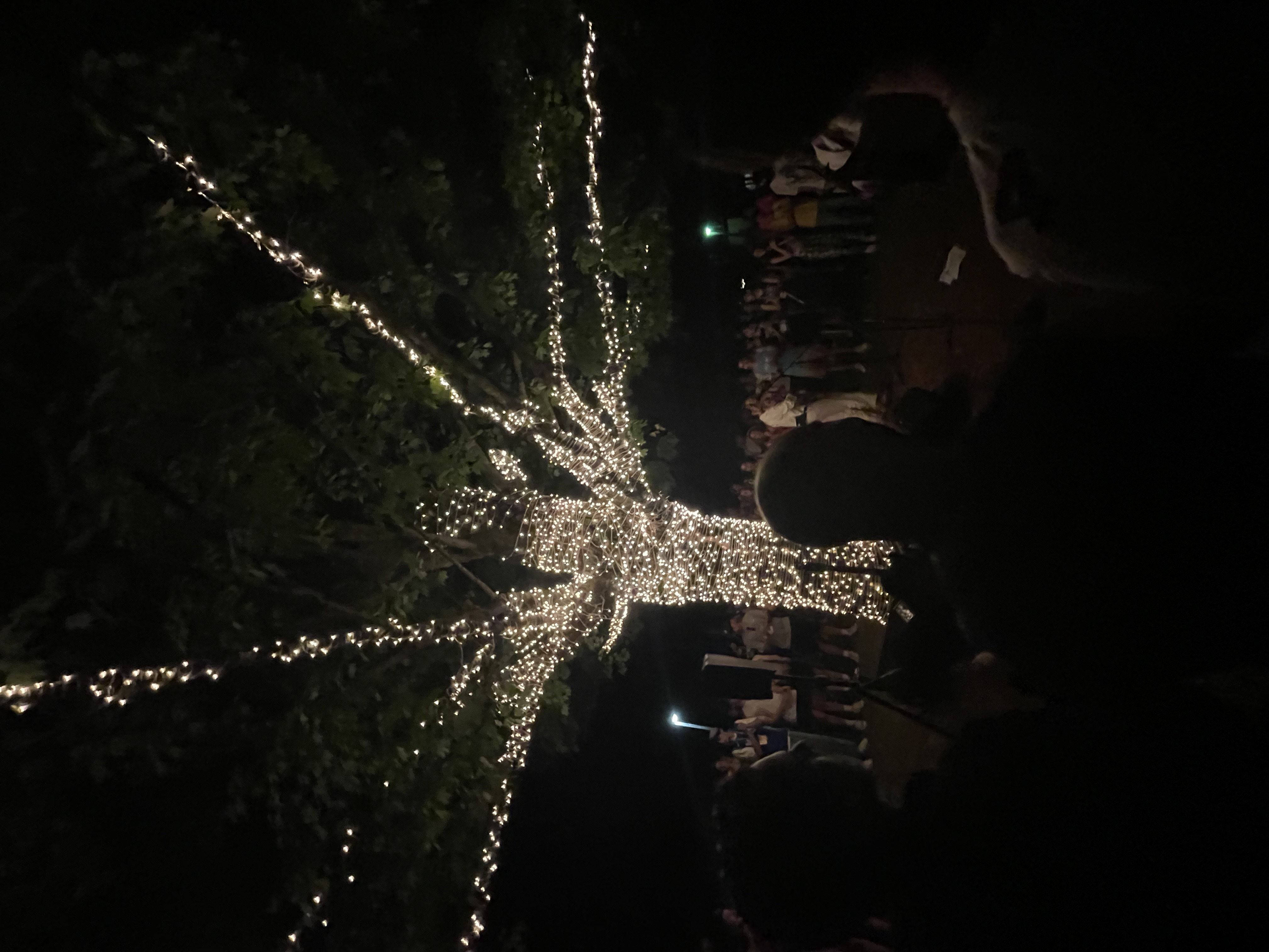 Un groupe de personnes faisant la fête sur scène