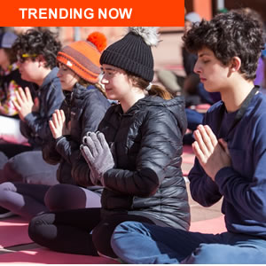Tendances janvier 2020 300