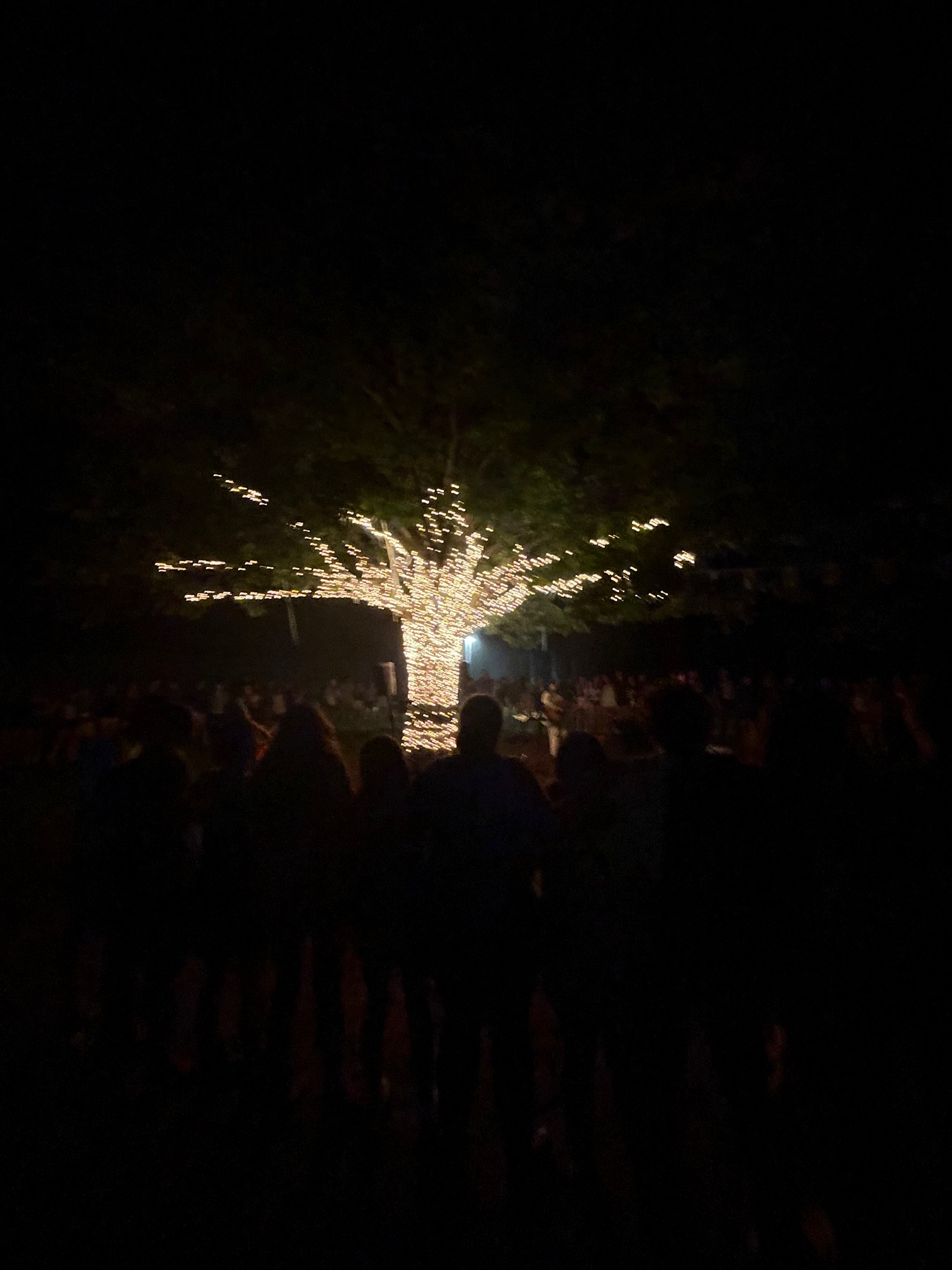 Un groupe de personnes faisant la fête sur scène